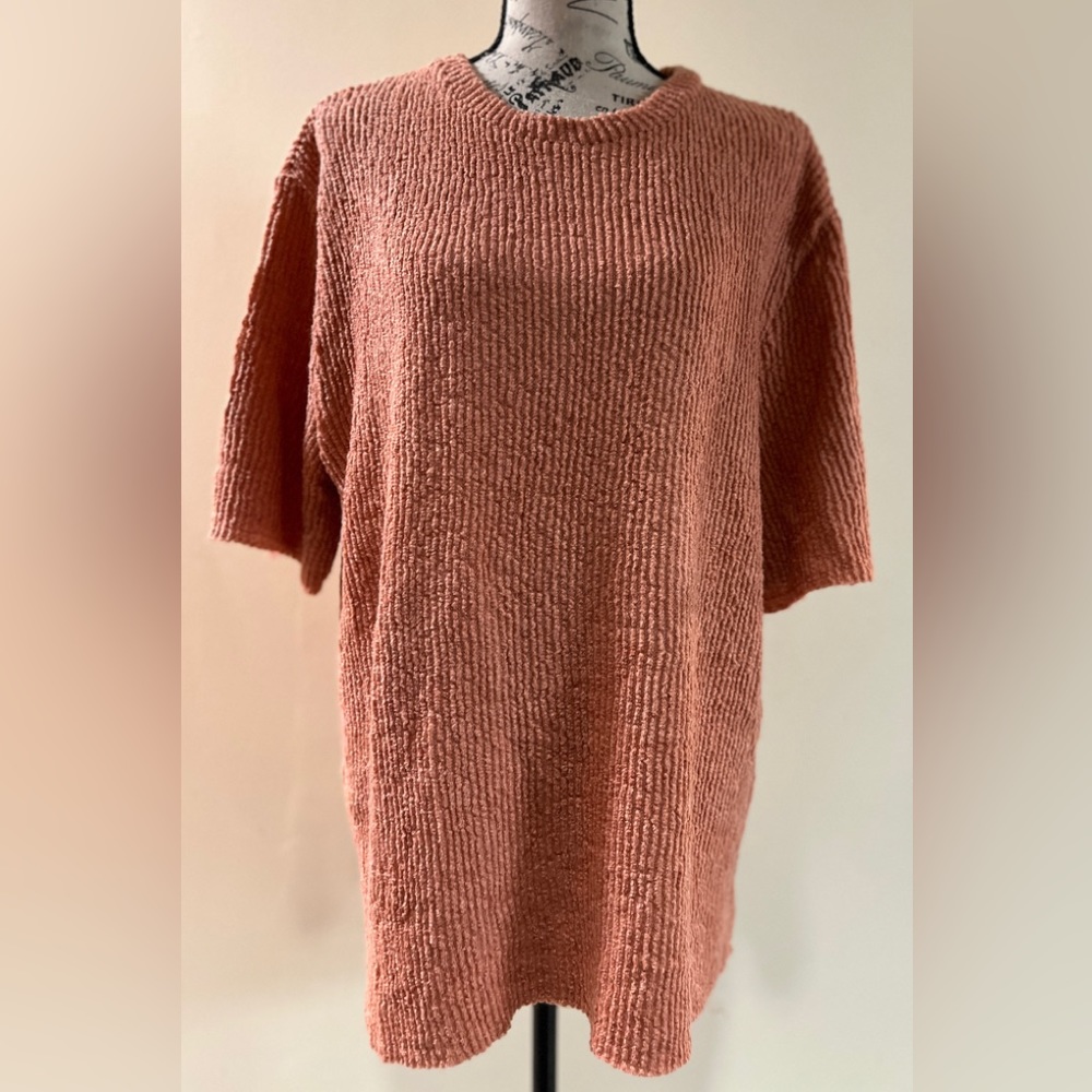 Zara Basic Short Sleeved Top